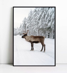 Plakat RENIFER
