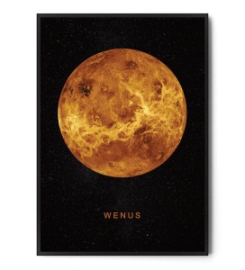 Plakat WENUS