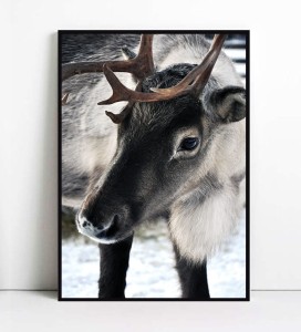 Plakat RENIFER no.1