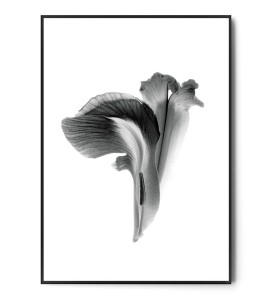 Plakat IRYS no.1