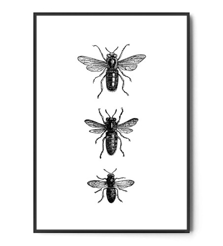 Plakat PSZCZOŁY