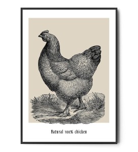 Plakat NATURAL CHICKEN