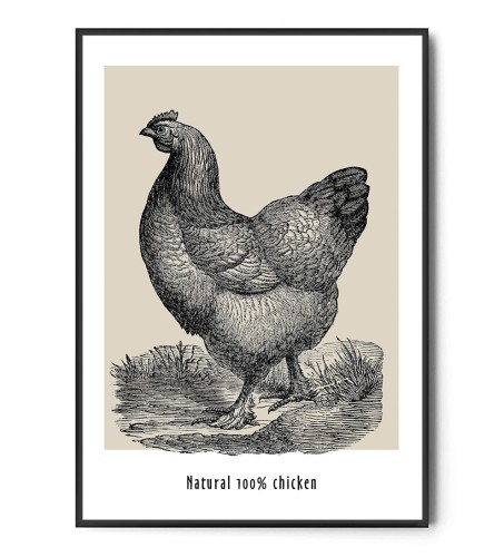 Plakat NATURAL CHICKEN
