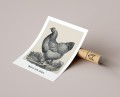 Plakat NATURAL CHICKEN