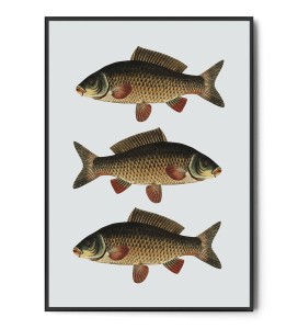 Plakat KARP