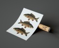 Plakat KARP