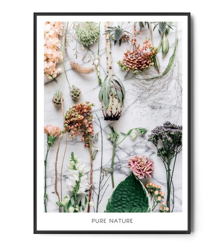 Plakat PURE NATURE