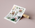 Plakat PURE NATURE