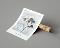 Plakat WINTER PLANT