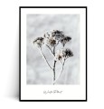 Plakat WINTER PLANT