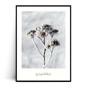 Plakat WINTER PLANT