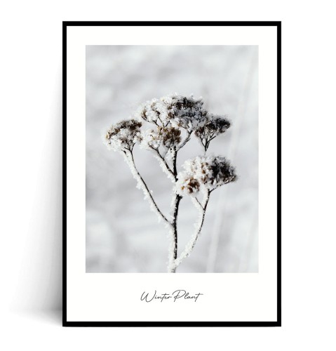 Plakat WINTER PLANT