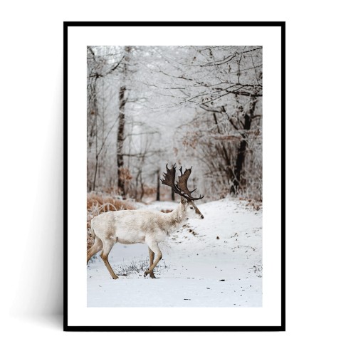 Plakat ZIMOWY RENIFER z marginesem