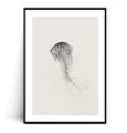 Plakat MEDUZA MINIMAL z marginesem