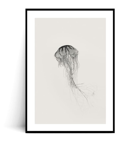 Plakat MEDUZA MINIMAL z marginesem