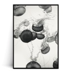 Plakat MEDUZY no.2