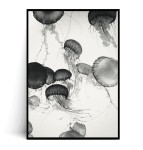 Plakat MEDUZY no.3