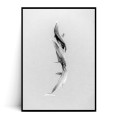 Plakat DELFINY MINIMAL