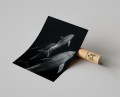 Plakat DELFINY