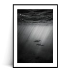 Plakat DELFINY no.1