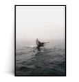 Plakat WIELORYB