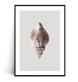 Plakat MUSZLA MINIMAL z marginesem