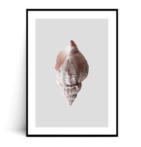 Plakat MUSZLA MINIMAL z marginesem
