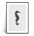 Plakat KONIK MORSKI VINTAGE z marginesem