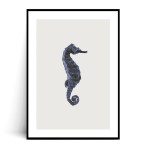 Plakat KONIK MORSKI VINTAGE