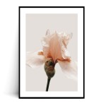 Plakat IRYS MINIMAL no.1