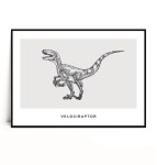 Plakat VELOCIRAPTOR