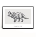 Plakat TRICERATOPS