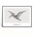 Plakat PTERODACTYL