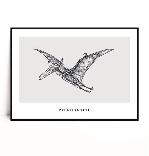 Plakat PTERODACTYL