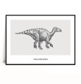Plakat IGUANODON
