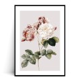 Plakat KWIATY VINTAGE no.2 z marginesem