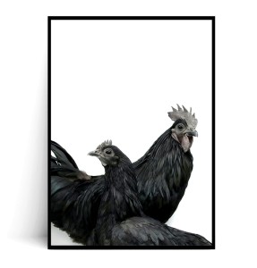 Plakat KOGUCIK I KURKA