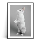 Plakat KRÓLICZEK no.2 czarno biały