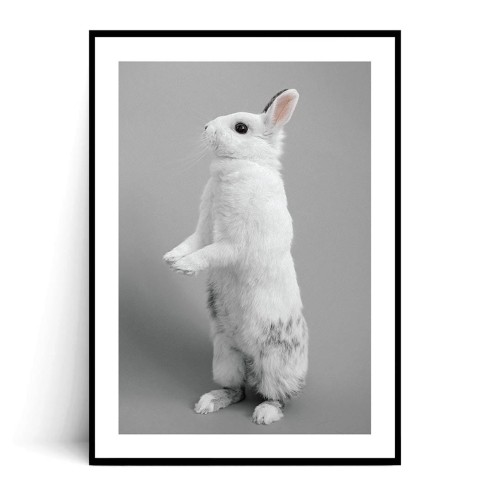 Plakat KRÓLICZEK no.2 czarno biały z marginesem