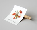Plakat ALL YOU NEED IS LOVE AND COFFEE CUP