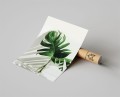 Plakat MONSTERA W WAZONIE