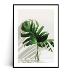 Plakat MONSTERA Z WAZONIE