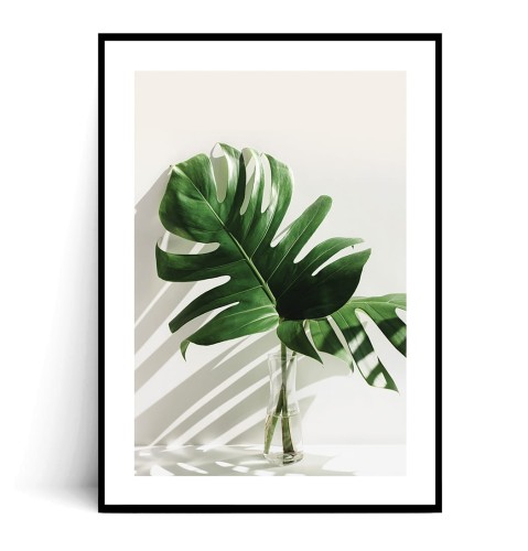 Plakat MONSTERA W WAZONIE z marginesem
