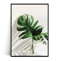 Plakat MONSTERA W WAZONIE