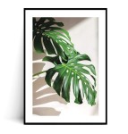 Plakat LIŚCIE MONSTERY