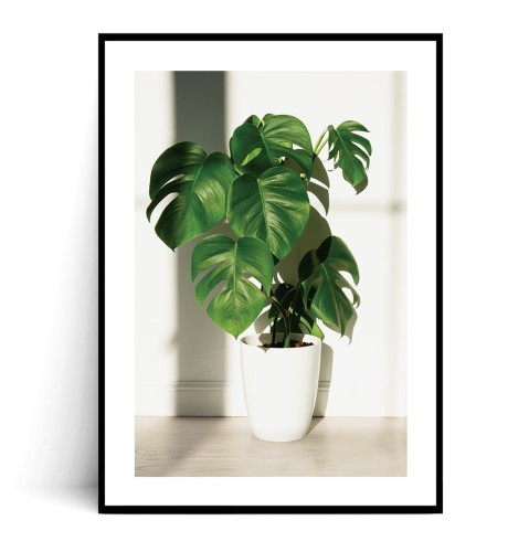 Plakat MONSTERA W DONICZCE z marginesem