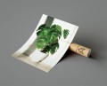 Plakat MONSTERA W DONICZCE