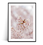 Plakat PASTELOWE WIOSENNE KWIATY no.1