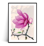 Plakat MAGNOLIA no.6