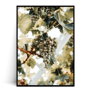 Plakat WINOGRONA